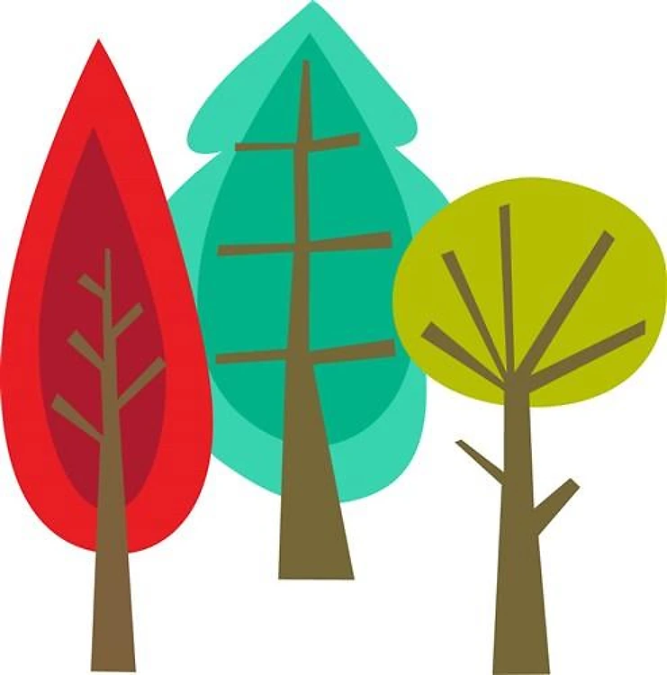 Fall Foliage