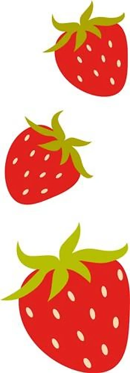Strawberry Border