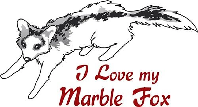 I Love My Marble Fox