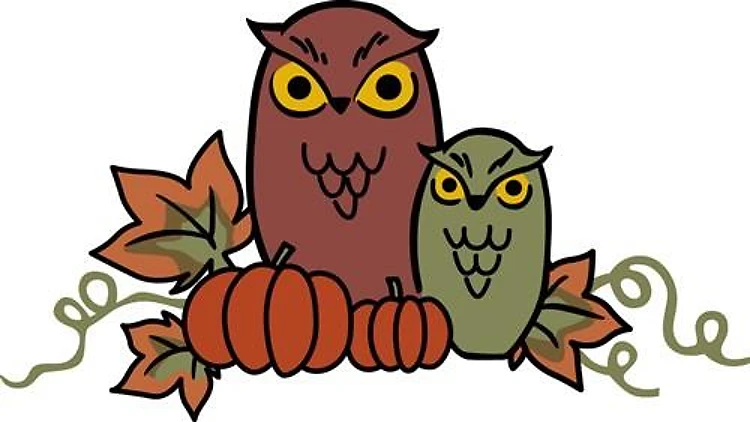 Autumn Owls