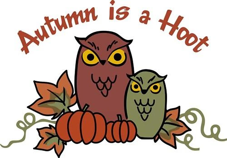 Autumn Is A Hoot
