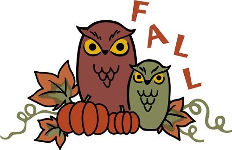 Fall Owls