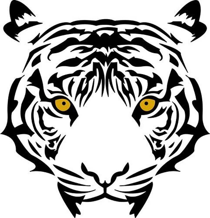 Tiger Face