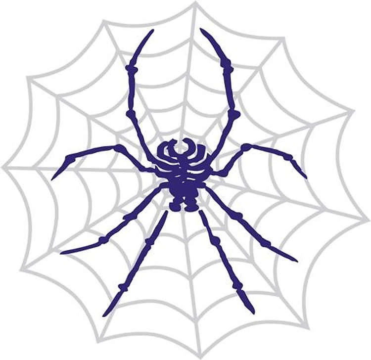 Spider and Cobweb