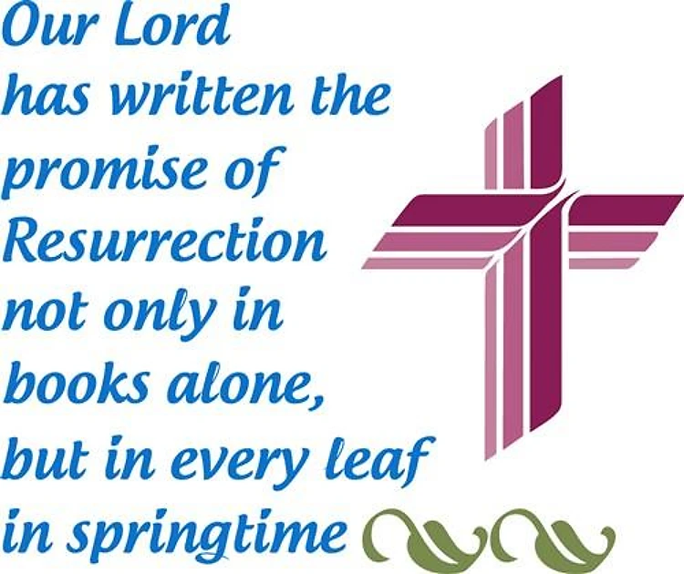 Martin Luther Quote