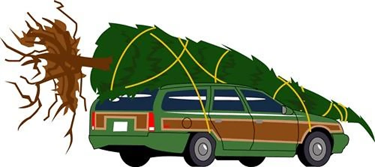Bringing The Tree Home