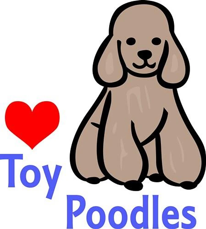 Toy Poodles