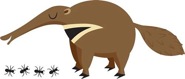 Anteater