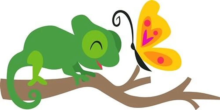 Chameleon Lizard