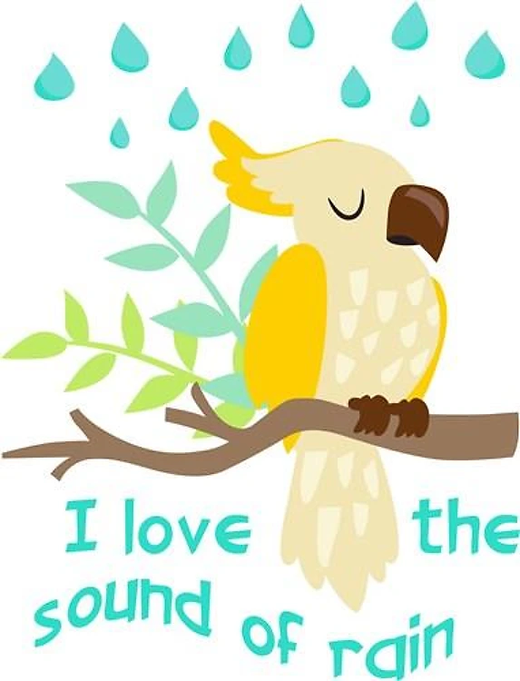 Sound Of Rain