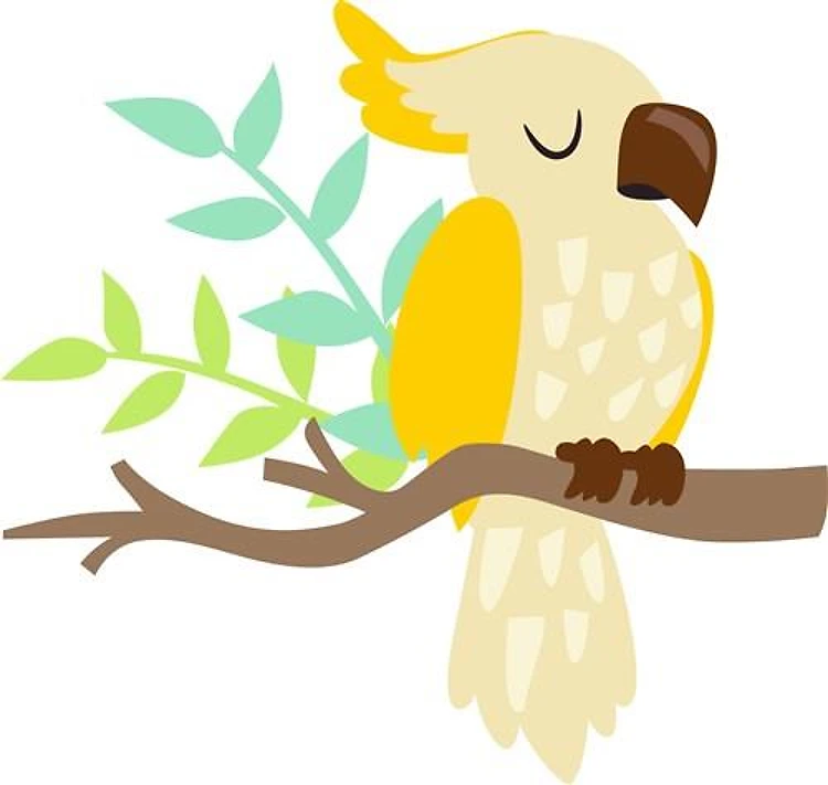 Cockatoo