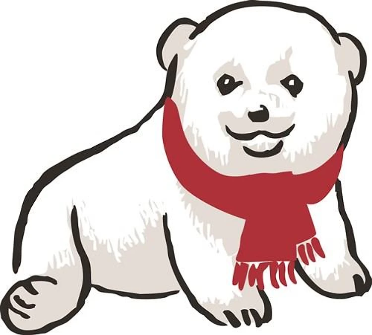 Polar Bear Cub