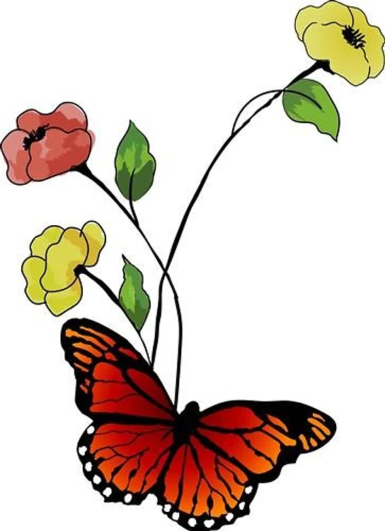 MONARCH AND FLOWERS