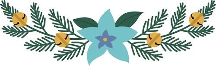 Christmas Blue Poinsettia