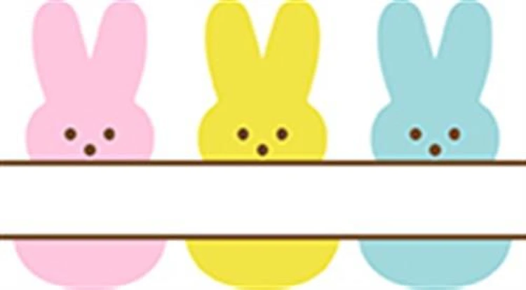 Bunnies Name Split