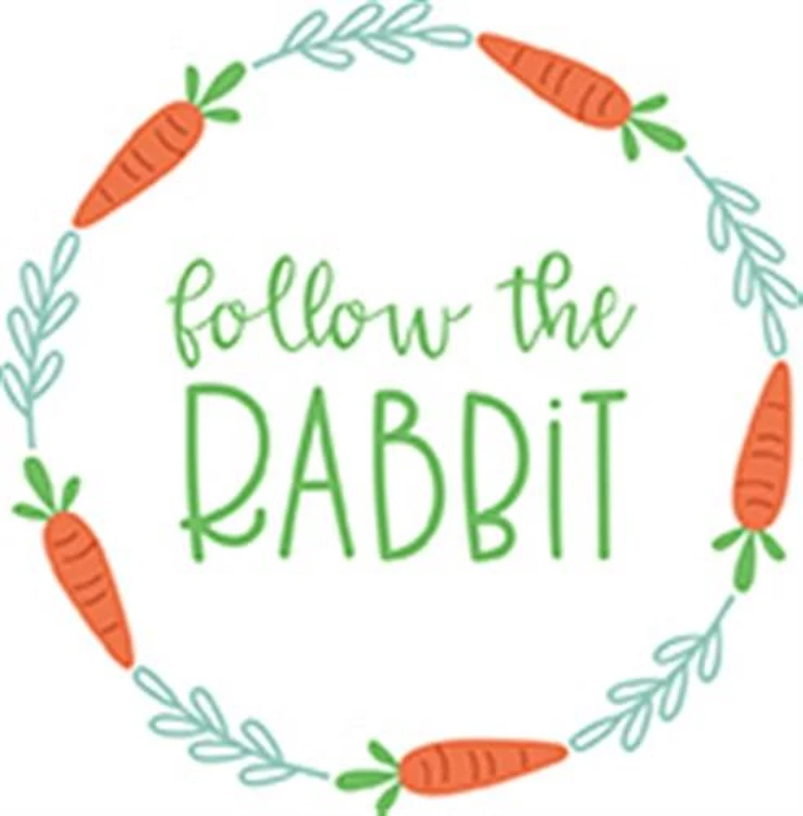 Follow The Rabbit