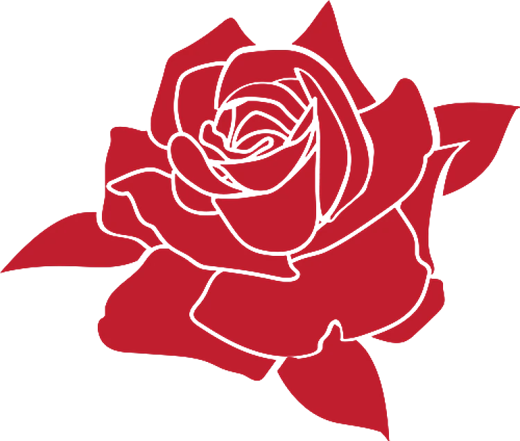 Rose Bloom