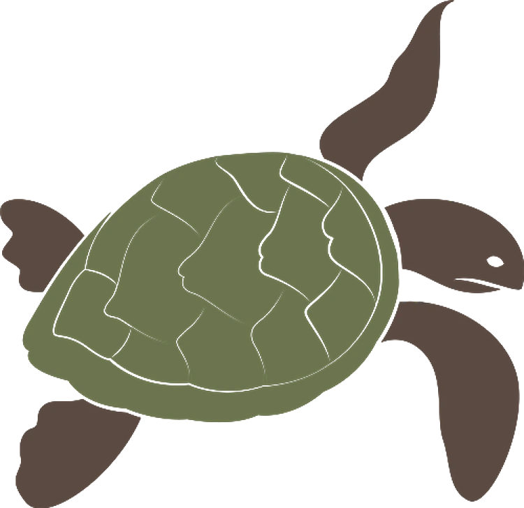 Sea Turtle