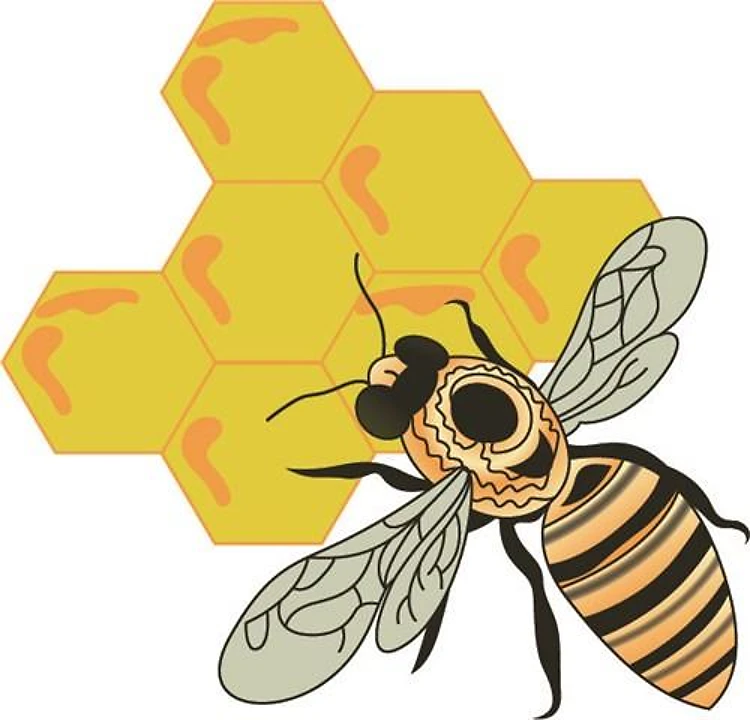 Bee in Honeycomb