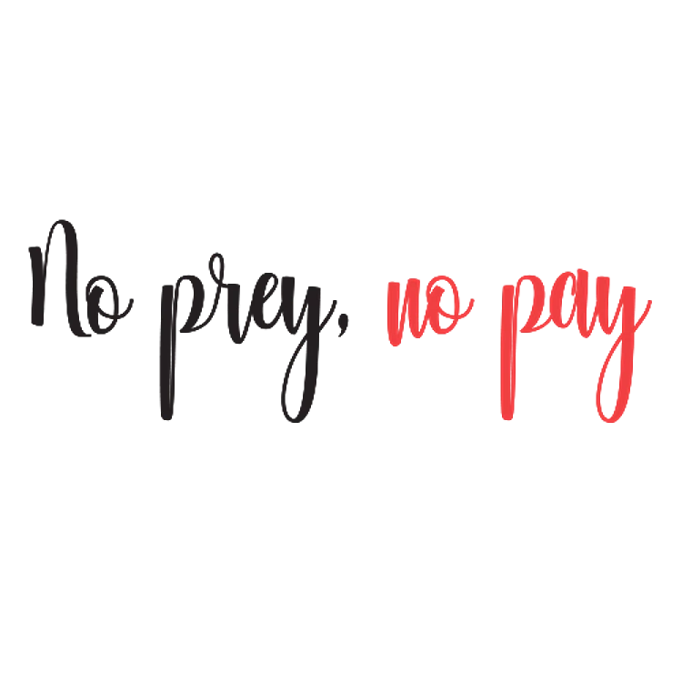 No Prey No Pray