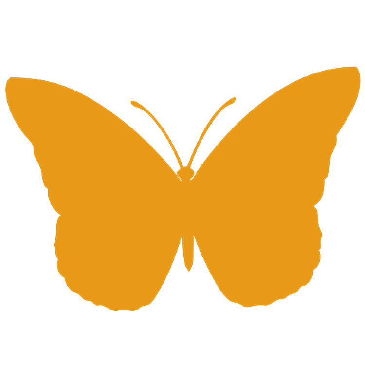 Butterfly Silhouette