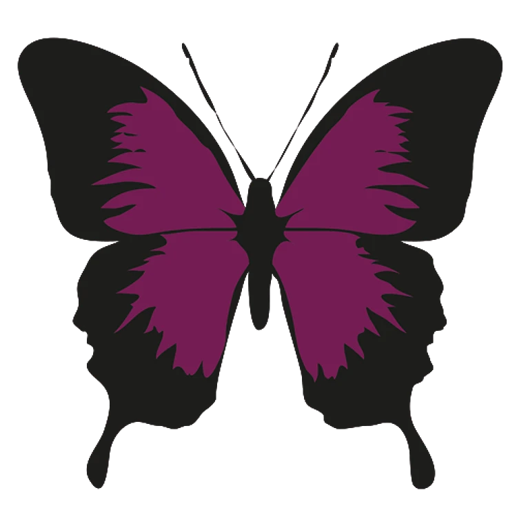 Swallowtail Butterfly