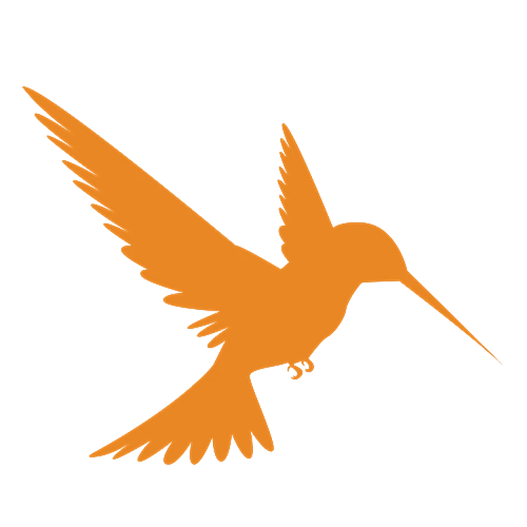 Silhouette Hummingbird