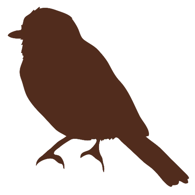 Silhouette Sparrow