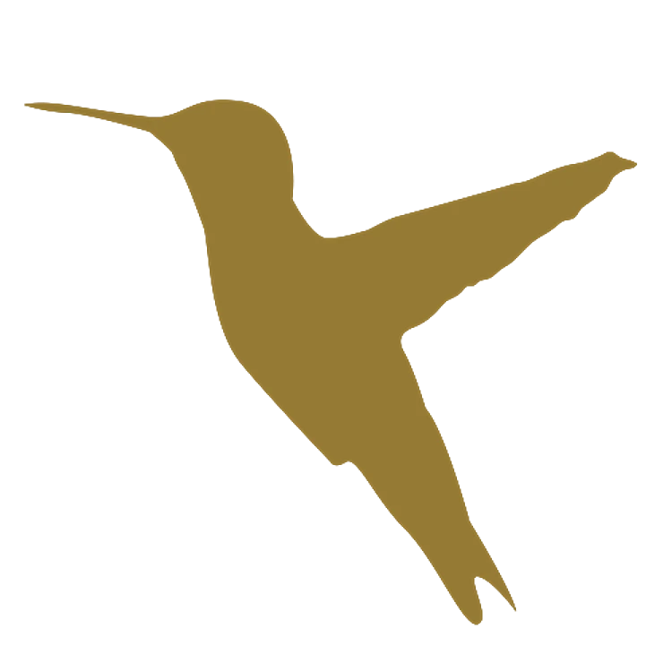 Hummer Silhouette