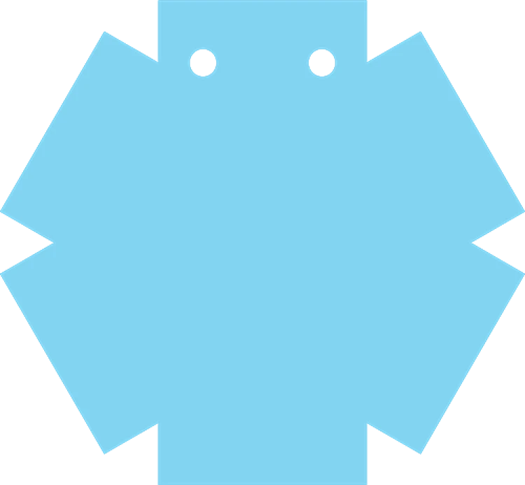 Hanging Star Of Life