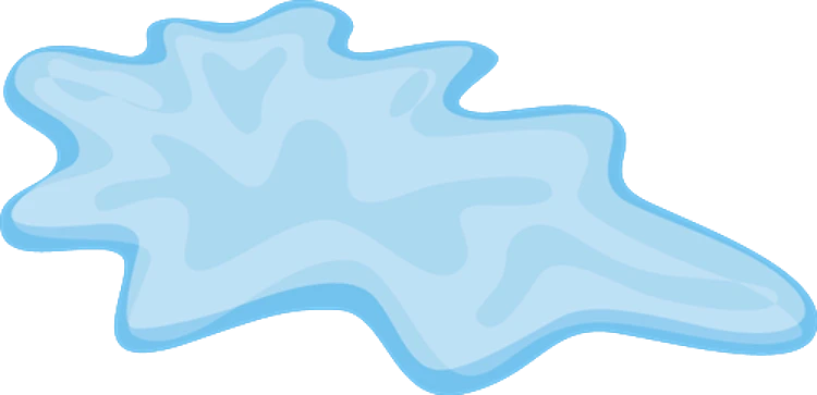 Water Puddle