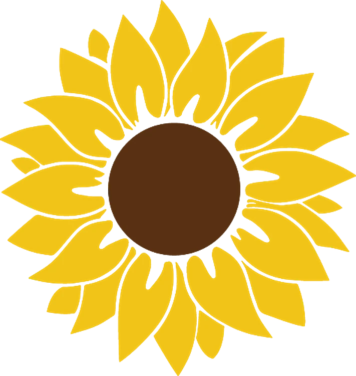 Sunflower Bloom