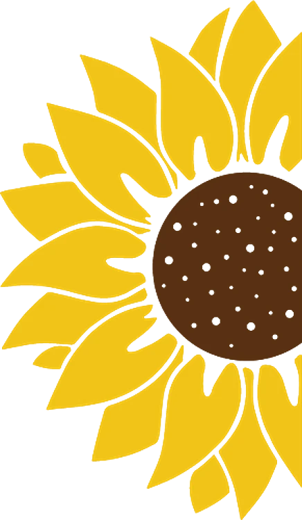 Border Sunflower