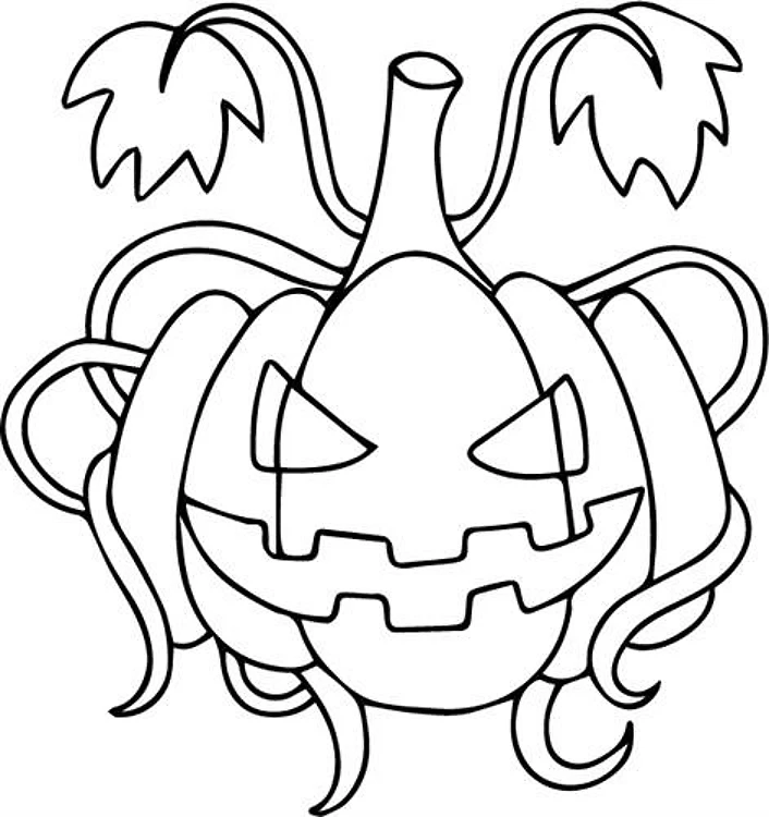 Pumpkin Outline