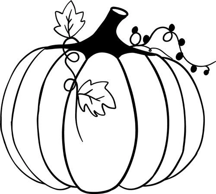 Fall Pumpkin