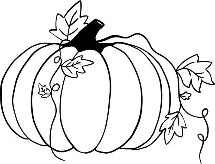Autumn Pumpkin