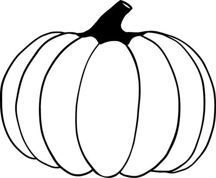 Pumpkin Outline