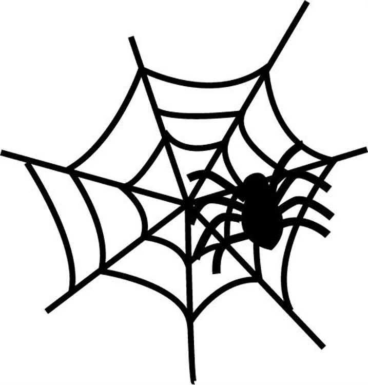 Halloween Spider