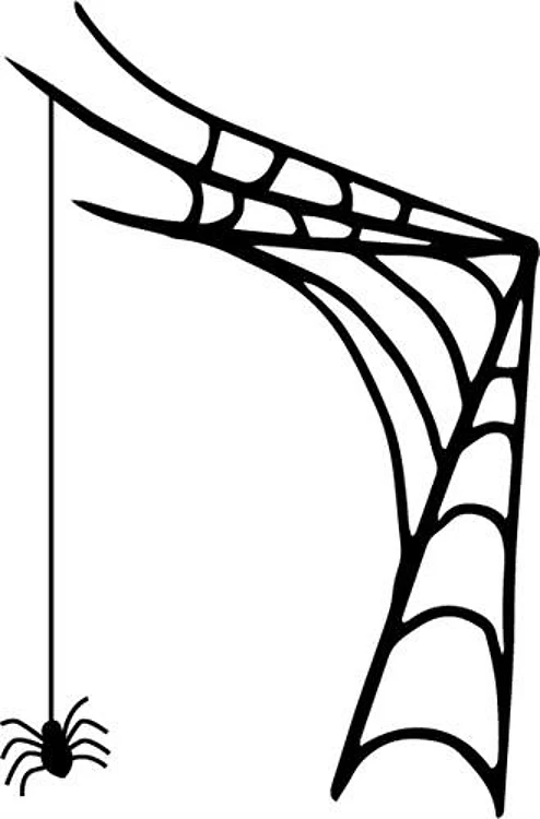 Spider Web