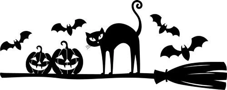 Cat Bats & Pumpkins