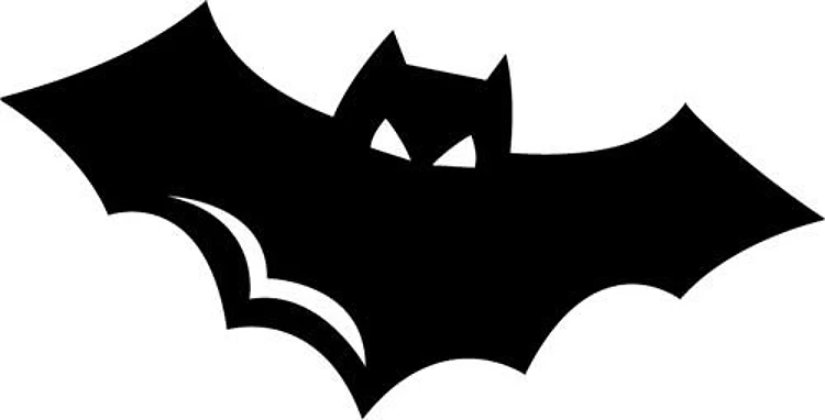 Halloween Bat