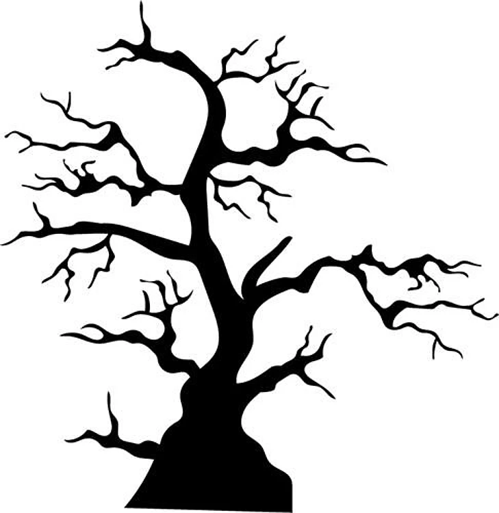 Tree Silhouette