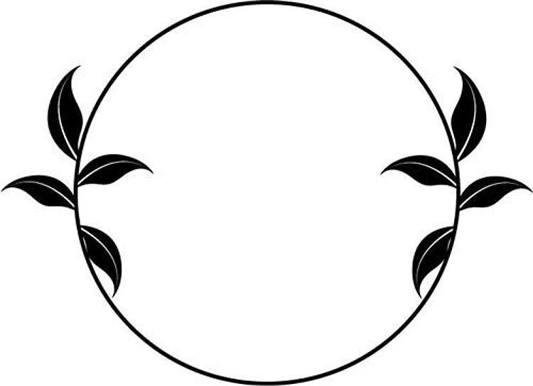 Frame Circel