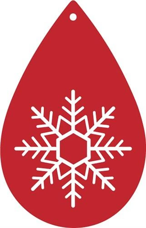 Snowflake Earring