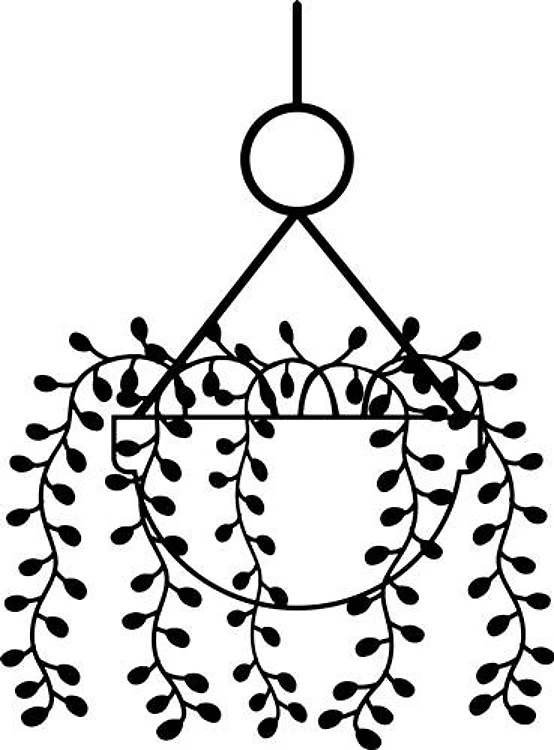 Hanging Plant