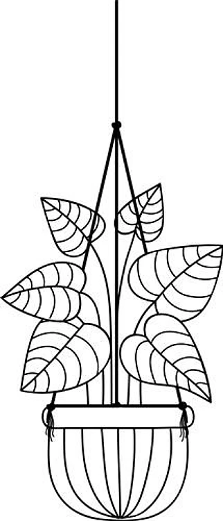 Potted Plant