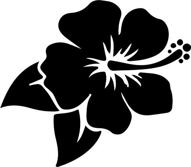 Silhouette Hibiscus