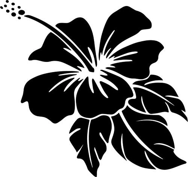 Hibiscus Floral