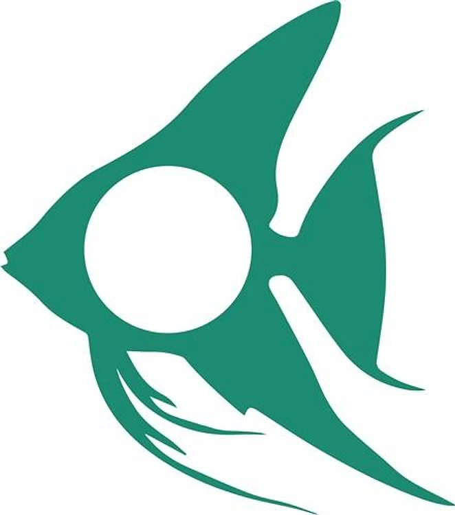 Monogram Angelfish