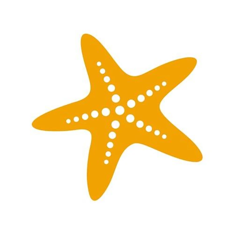 Detailed Starfish